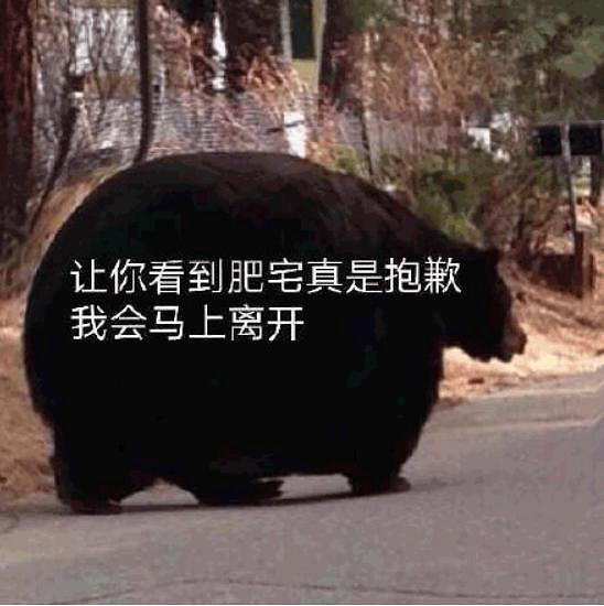 靠抖臀打出名號的NIKKE,在泰國廣告裡瘋狂內涵玩家 靠抖臀打出名號的NIKKE,在泰國廣告裡瘋狂內涵玩家