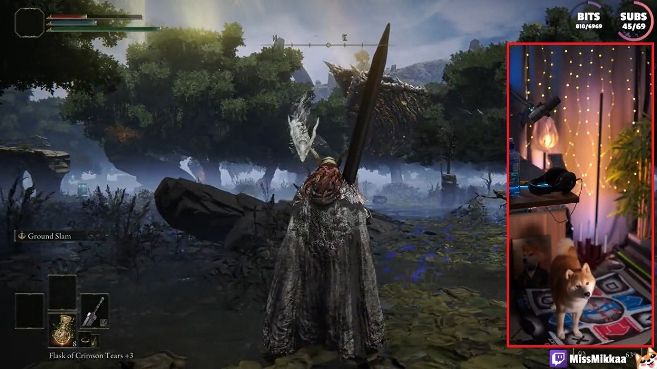 《艾爾登法環》美女主播AFK遭龍襲 愛犬代打閃避吐息