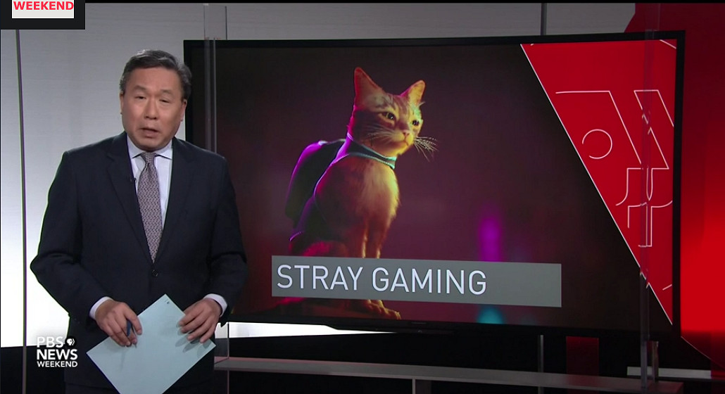 貓貓遊戲《浪貓》將與慈善機構合作 幫助現實中流浪貓 貓貓遊戲《浪貓》將與慈善機構合作 幫助現實中流浪貓