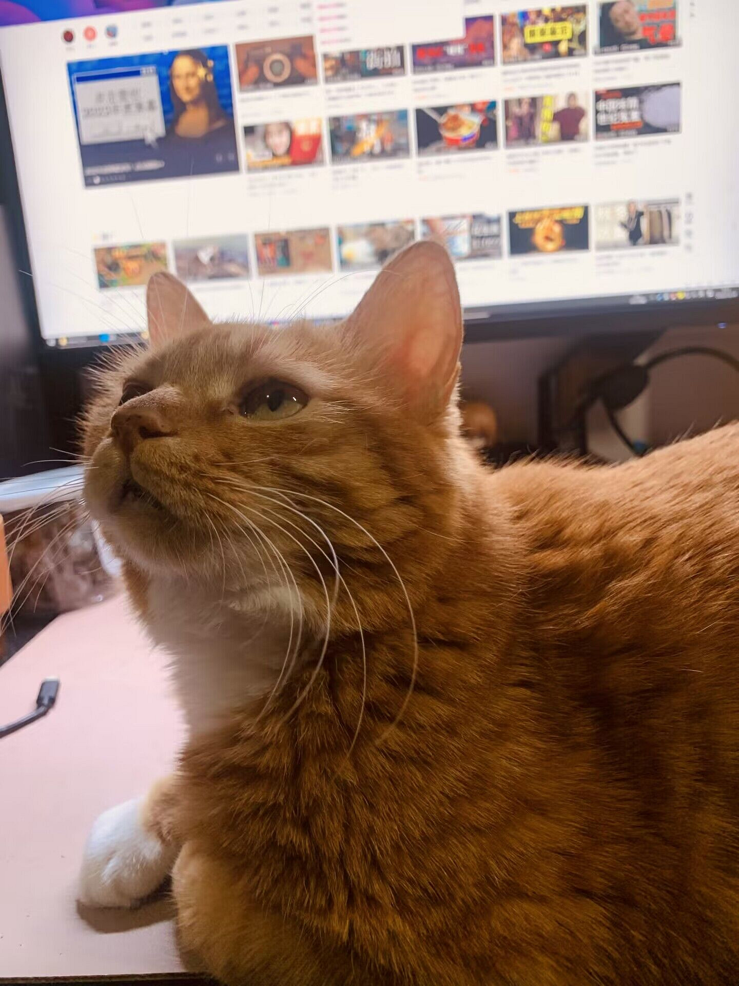 來聊聊去年玩過的遊戲吧，所有跨越過2022年的你