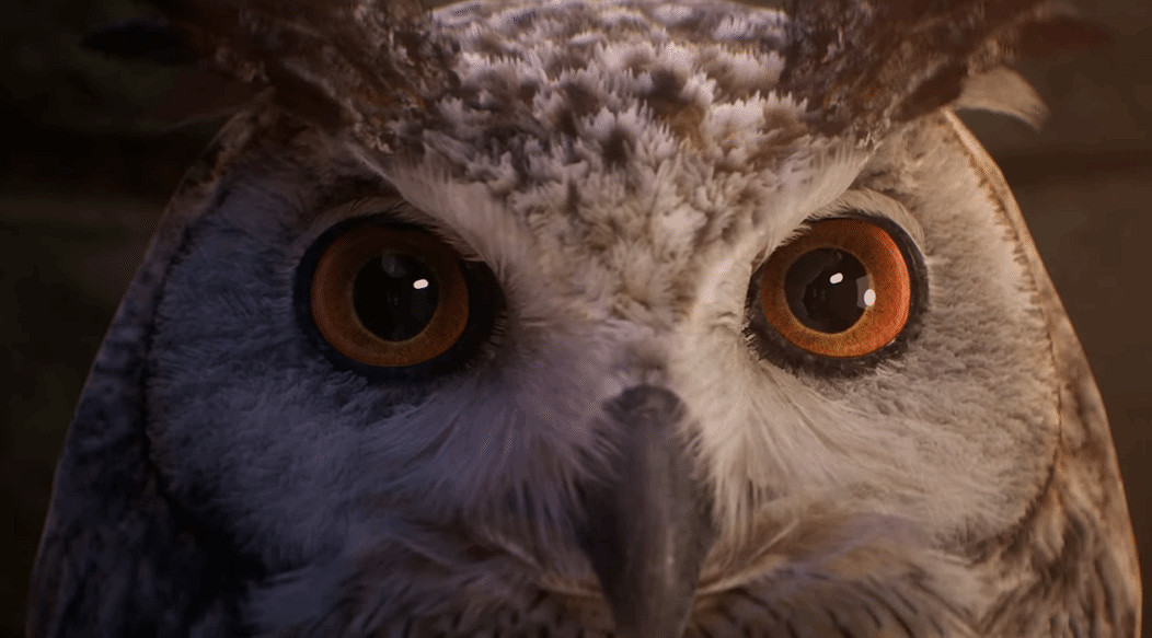 《霍格華茲之遺》公布新預告：貓頭鷹險些命喪龍口！