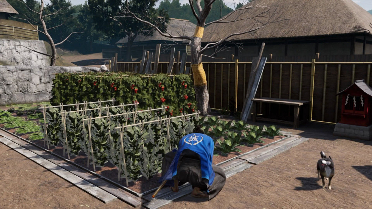 《人中之龍：維新極》最新預告片“另一種生活”公布！