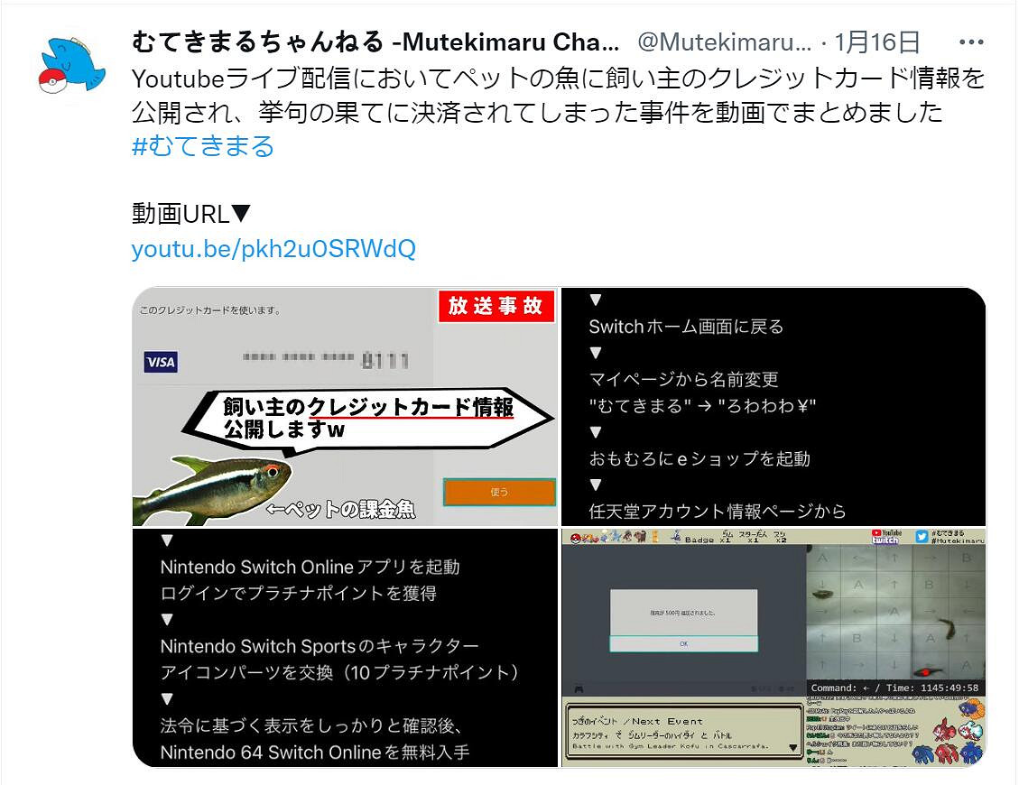 懶人寶可夢主播 或成史上第一個被寵物魚盜刷信用卡者