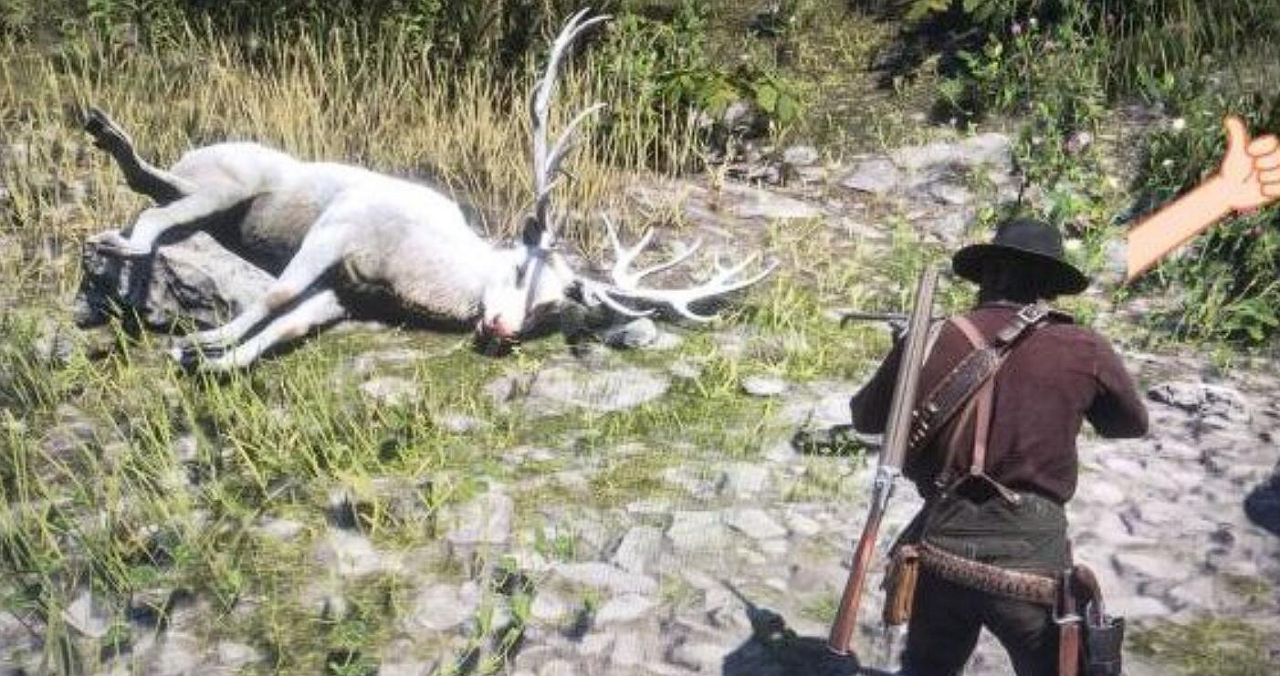 《荒野大鏢客2》傳說麋鹿在哪?傳說麋鹿位置介紹 《荒野大鏢客2》傳說麋鹿在哪?傳說麋鹿位置介紹