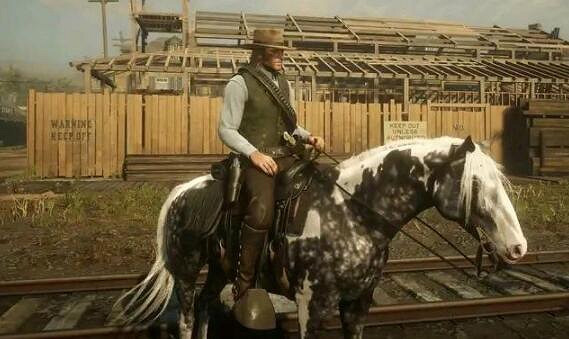 《荒野大鏢客2》最好的馬有哪些?好馬個人向排名及獲取方法 《荒野大鏢客2》最好的馬有哪些?好馬個人向排名及獲取方法