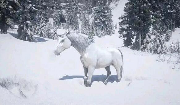 《荒野大鏢客2》最好的馬有哪些?好馬個人向排名及獲取方法 《荒野大鏢客2》最好的馬有哪些?好馬個人向排名及獲取方法