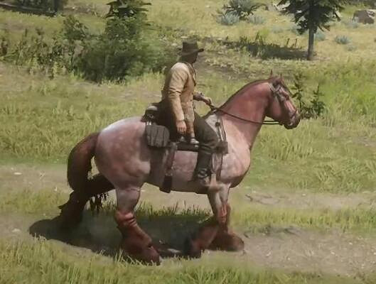 《荒野大鏢客2》最好的馬有哪些?好馬個人向排名及獲取方法 《荒野大鏢客2》最好的馬有哪些?好馬個人向排名及獲取方法