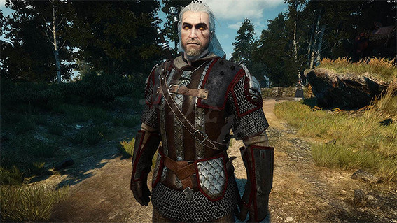 《巫師3次世代版》哪個流派強?最強流派推薦 《巫師3次世代版》哪個流派強?最強流派推薦