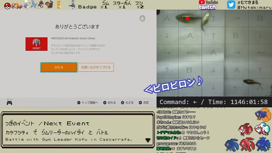 玩膩了寶可夢朱紫的魚，在NS裡幫主人氪起了金