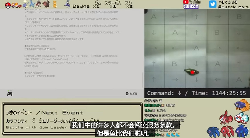 玩膩了寶可夢朱紫的魚，在NS裡幫主人氪起了金