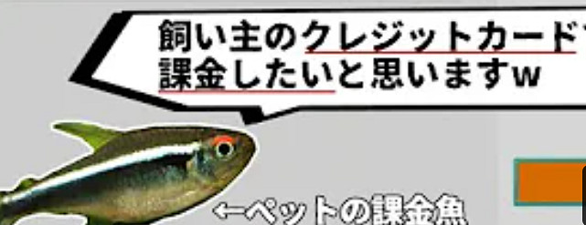 玩膩了寶可夢朱紫的魚，在NS裡幫主人氪起了金