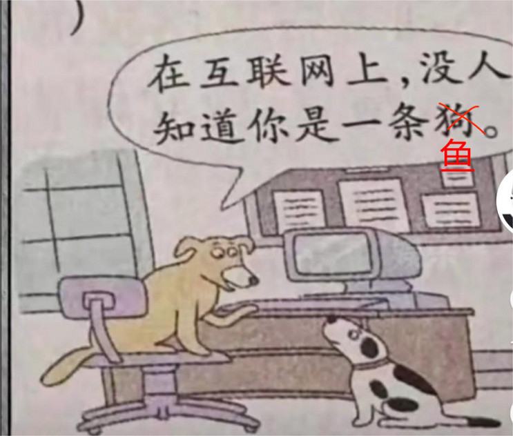 玩膩了寶可夢朱紫的魚，在NS裡幫主人氪起了金