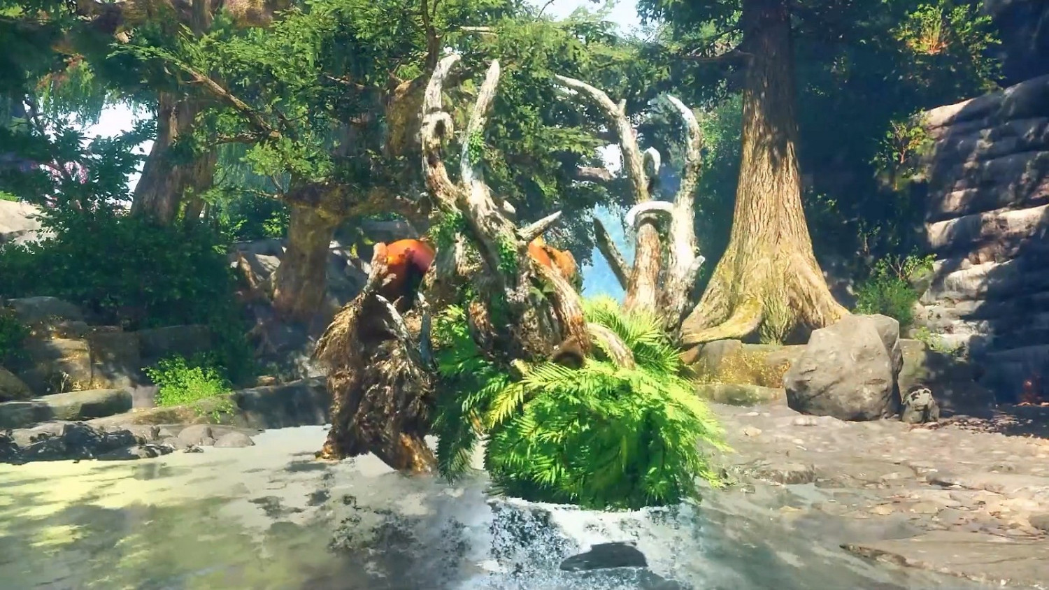 《狂野之心》發售後內容都是免費 沒有課金