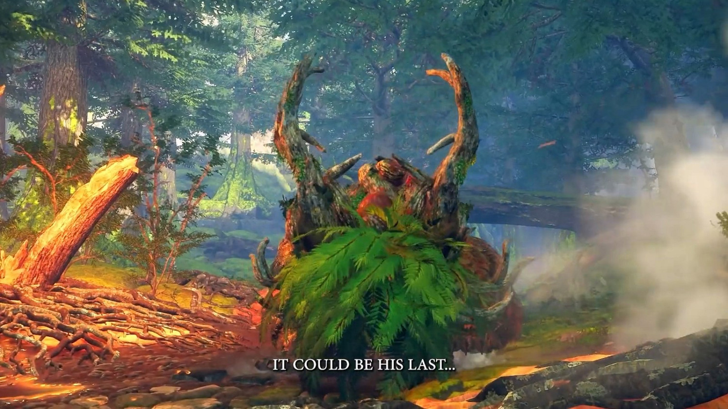 《狂野之心》發售後內容都是免費 沒有課金