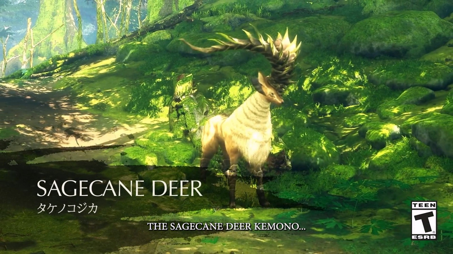 《狂野之心》發售後內容都是免費 沒有課金