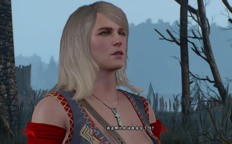 《巫師3次世代版》迷霧之島前做老鼠之塔任務指南 任務玩法心得 《巫師3次世代版》迷霧之島前做老鼠之塔任務指南 任務玩法心得