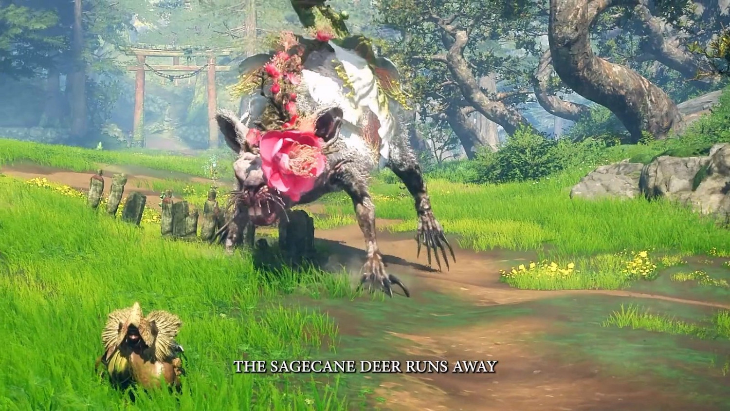 《狂野之心》發售後內容都是免費 沒有課金