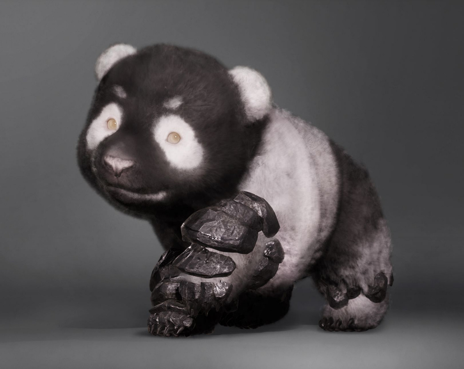 早報:《臥龍》角色介紹 《狂野之心》獎杯列表曝光