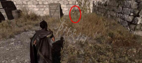 《Forspoken》追趕條紋貓支線怎麽做?追趕條紋貓支線任務攻略 《Forspoken》追趕條紋貓支線怎麽做?追趕條紋貓支線任務攻略