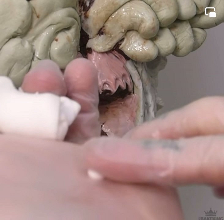 《最後生還者》“循聲者”蛋糕:最終成品效果太逼真! 《最後生還者》“循聲者”蛋糕:最終成品效果太逼真!