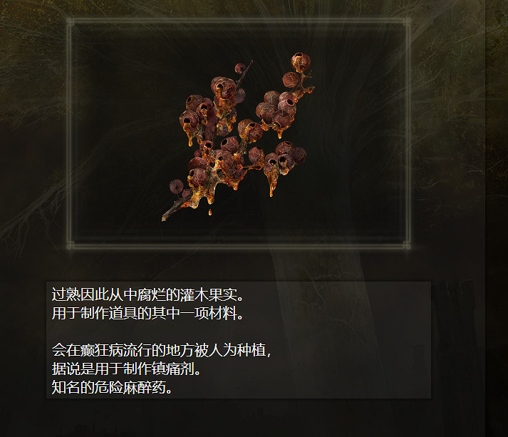 《艾爾登法環》玩家發現現實版“耶羅眼珠"!竟是一種水果 《艾爾登法環》玩家發現現實版“耶羅眼珠"!竟是一種水果