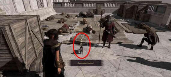 《Forspoken》追趕條紋貓支線怎麽做?追趕條紋貓支線任務攻略 《Forspoken》追趕條紋貓支線怎麽做?追趕條紋貓支線任務攻略