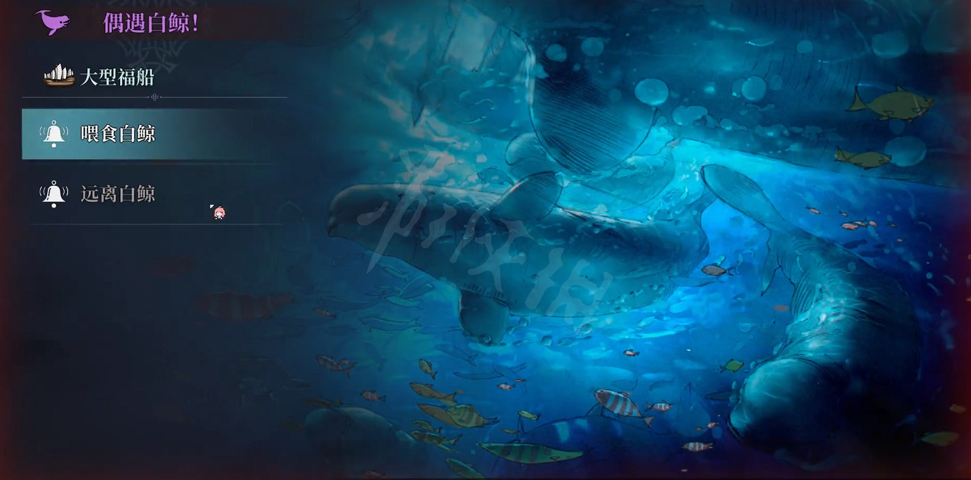 《風帆紀元》白鯨號角怎麽獲得？白鯨號角獲得方式