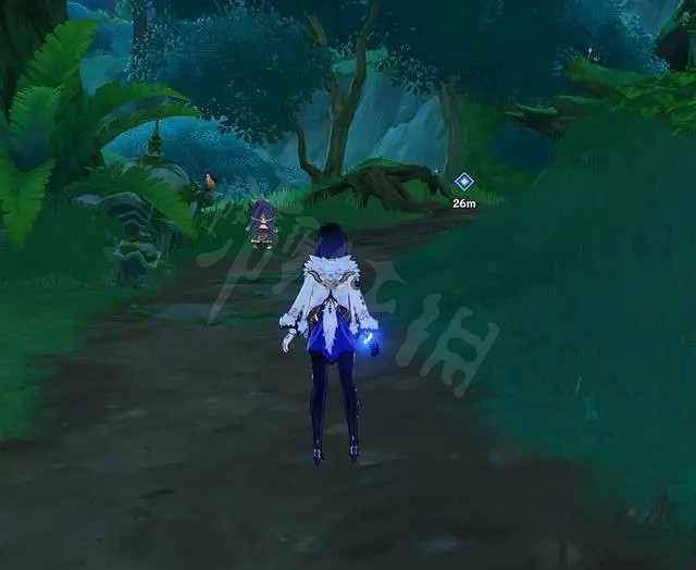 《原神》任務與珍惜之鳥的短暫邂逅 流程介紹