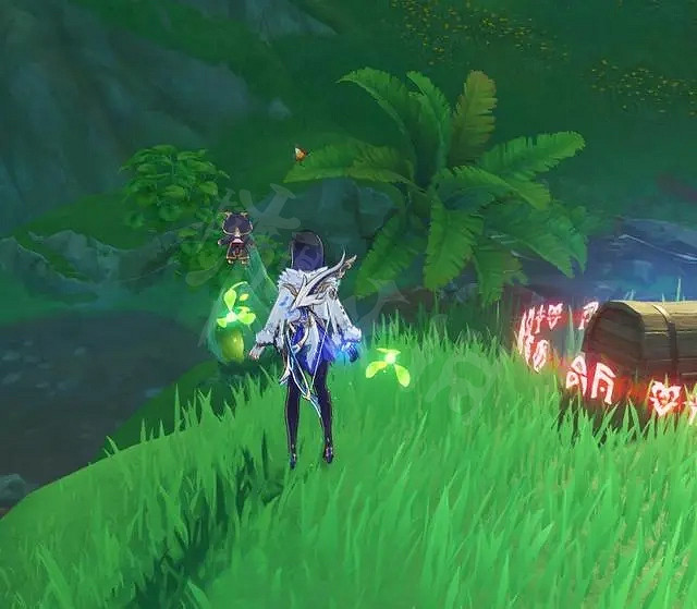 《原神》任務與珍惜之鳥的短暫邂逅 流程介紹