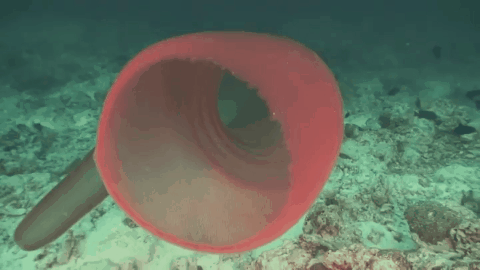 遊戲公司怪物設計靈感來源第四彈！深海生物畫風獵奇！