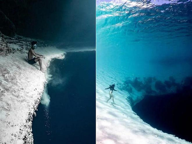 遊戲公司怪物設計靈感來源第四彈！深海生物畫風獵奇！