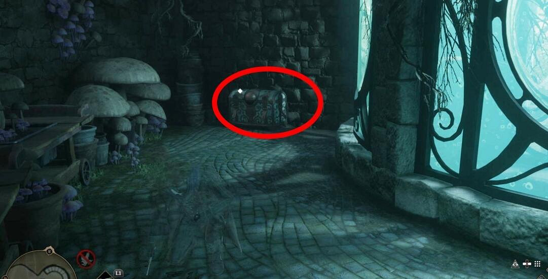 《霍格華茲的傳承》眼睛寶箱位置在哪?眼睛寶箱收集攻略 《霍格華茲的傳承》眼睛寶箱位置在哪?眼睛寶箱收集攻略