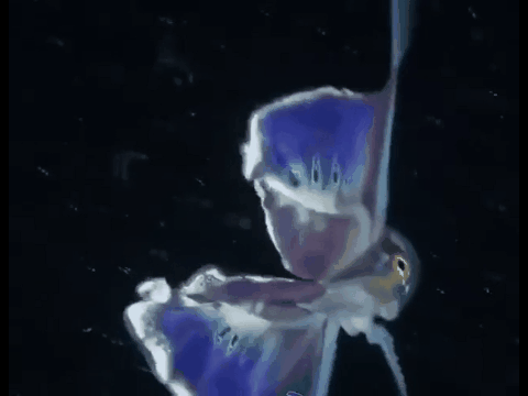 遊戲公司怪物設計靈感來源第四彈！深海生物畫風獵奇！