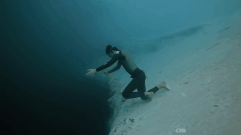 遊戲公司怪物設計靈感來源第四彈！深海生物畫風獵奇！