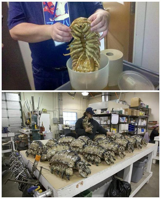 遊戲公司怪物設計靈感來源第四彈！深海生物畫風獵奇！