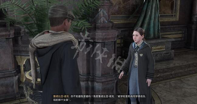 《霍格華茲的傳承》多多石好多支線怎麽做?多多石好多支線任務玩法 《霍格華茲的傳承》多多石好多支線怎麽做?多多石好多支線任務玩法