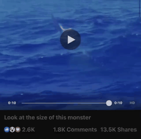 遊戲公司怪物設計靈感來源第四彈！深海生物畫風獵奇！