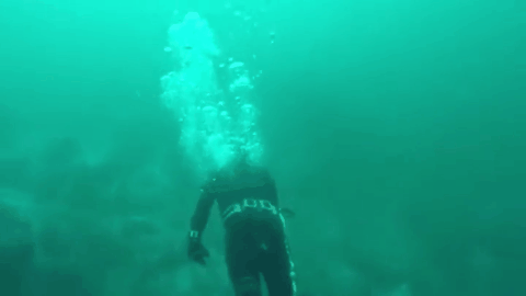 遊戲公司怪物設計靈感來源第四彈！深海生物畫風獵奇！