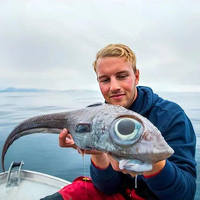 遊戲公司怪物設計靈感來源第四彈！深海生物畫風獵奇！