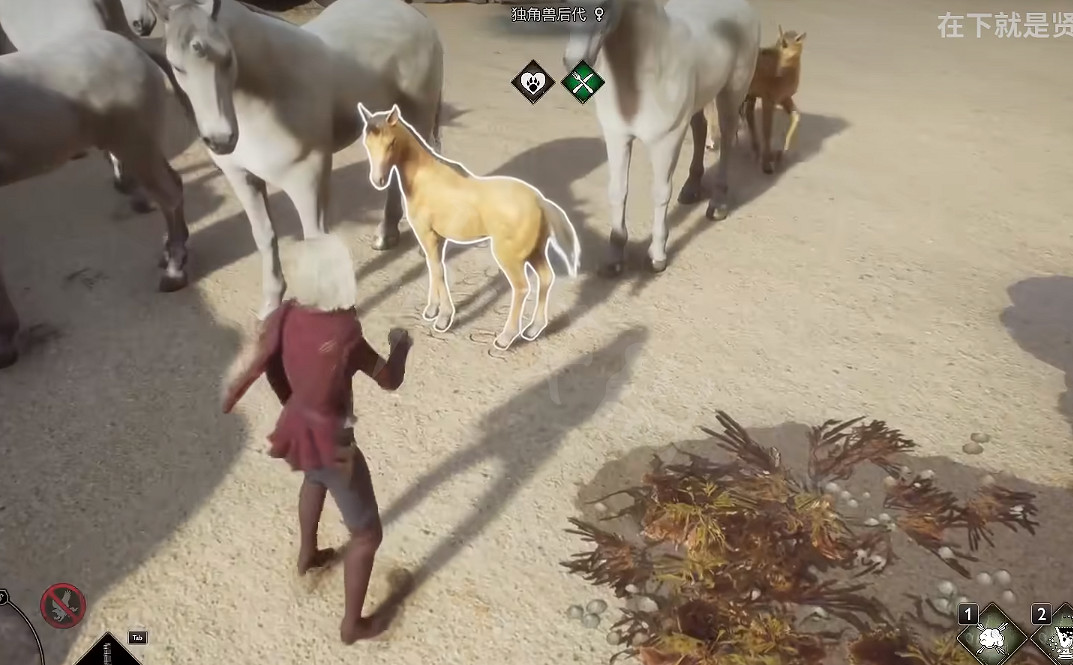 《霍格華茲的傳承》動物怎麽繁殖?動物繁殖方法 《霍格華茲的傳承》動物怎麽繁殖?動物繁殖方法