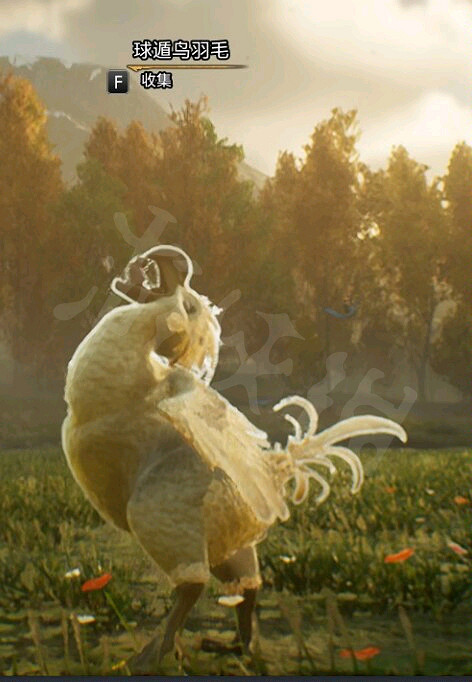 《霍格華茲的傳承》球遁鳥在哪？球遁鳥位置一覽