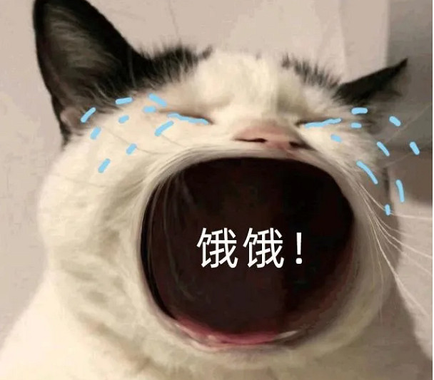 喪屍沙盒，但可以在自家小區開局