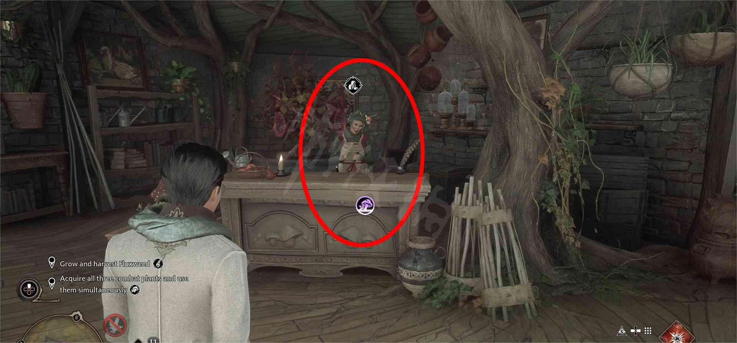 《霍格華茲的傳承》毒觸手在哪獲得?毒觸手獲取地點 《霍格華茲的傳承》毒觸手在哪獲得?毒觸手獲取地點