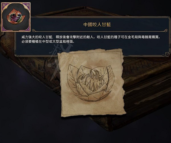 《霍格華茲的傳承》藥草學怎麽玩？霍格華茲的傳承藥草學玩法介紹