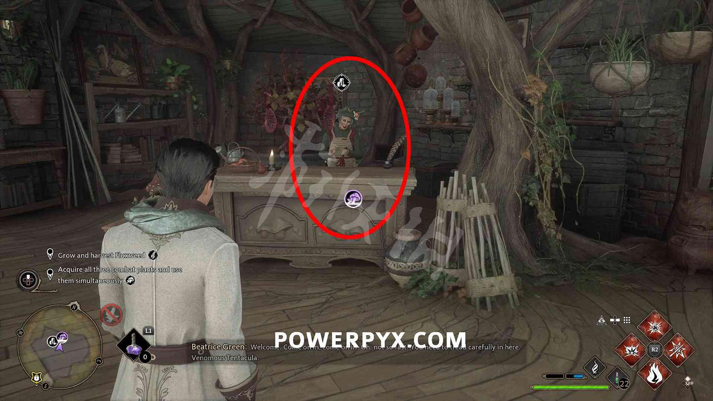 《霍格華茲的傳承》茱萸和毒菇在哪？茱萸和毒菇位置一覽