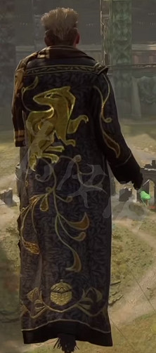 《霍格華茲的傳承》遺物學院製服長什麽樣?全學院遺物學院製服一覽 《霍格華茲的傳承》遺物學院製服長什麽樣?全學院遺物學院製服一覽