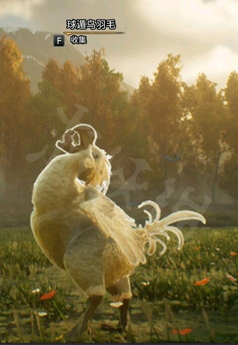 《霍格華茲的傳承》球遁鳥羽毛怎麽獲得?球遁鳥位置一覽