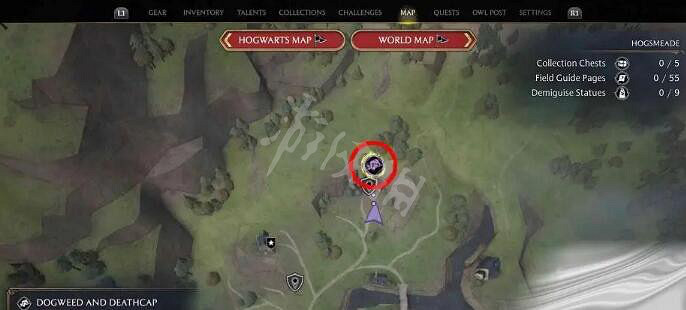 《霍格華茲的傳承》曼德拉草怎麽獲得？曼德拉草種子購買方法