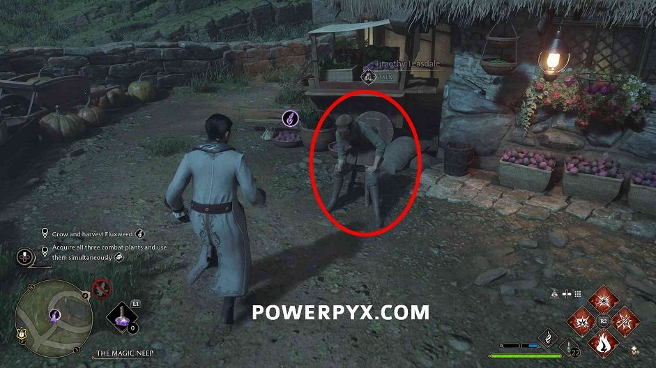 《霍格華茲的傳承》植物種子有哪些？全植物種子收集攻略