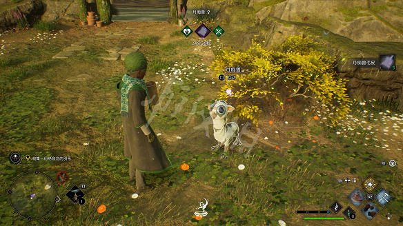 《霍格華茲的傳承》神奇動物牧場怎麽解鎖？神奇動物牧場作用介紹